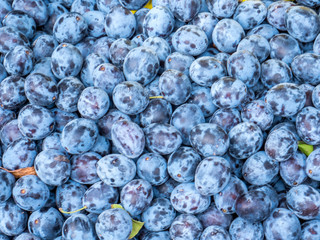 Pflaumen Zwetschgen Bio 