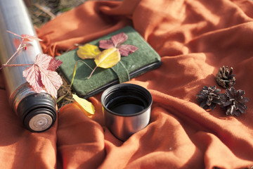  Thermos with hot tea in the forest. Concept picnic in the park.