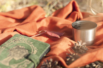  Thermos with hot tea in the forest. Concept picnic in the park.