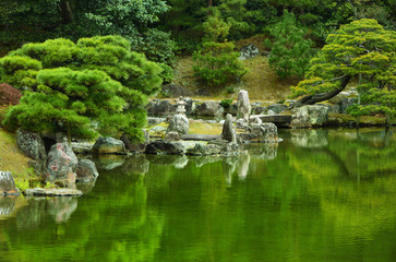 Fototapeta na wymiar Japanese garden, Kyoto Japan.