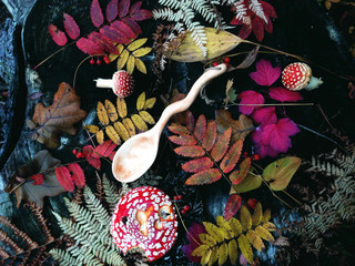 Wooden Spoon Autumn Leaves