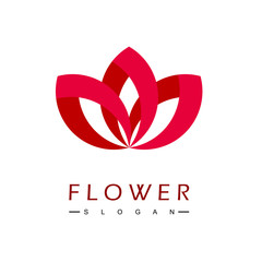 Flower Ornament Logo Design Vector
