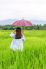An umbrella woman wearing a green shirt in a field