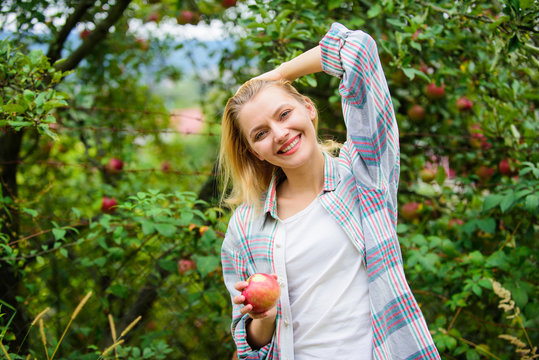 Farmer picking ripe fruit from tree. Harvesting season concept. Woman hold apple garden background. Farm produce organic natural product. Girl rustic style gather apples harvest garden autumn day
