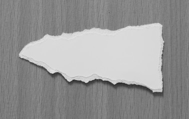 pieces of torn paper texture background, copy space.