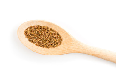 Alfalfa Seeds, Medicago or Lucerne Isolated on White Background