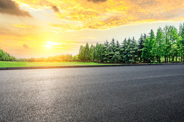 Fototapeta premium Empty asphalt road and green woods at sunset