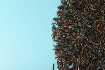 Raw Black Wild Rice on Pale Blue Paper Background