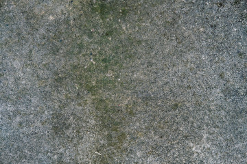 concrete or cement floor with green algae or lichen