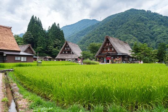 traditional Japanese village at shirakawago, Japan