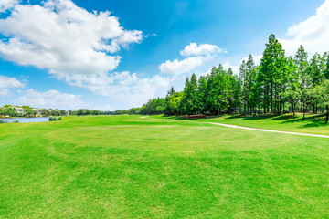 Green meadow and woods with apartment buildings scenery in summer