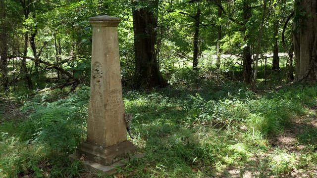 Rocky Springs, a ghost town (abandoned in the 1930s) and historic site located in Claiborne County, Mississippi, United States on the Natchez Trace Parkway. Cat on grave in the local graveyard