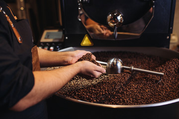 Close up shot of male hands holding roasted coffee beans.