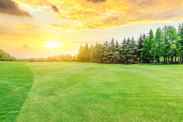 Green meadow and woods nature landscape in summer
