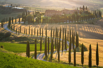Landmark of Tuscany lane and green rolliing hills