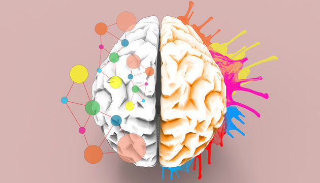 Brain left and right creativity functions 
 Sketch concept / Illustration