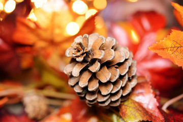 Pine cone and autumn leaves as a decoration for autumn as background or mood