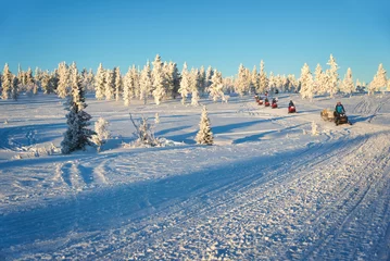 Fotobehang Group of snowmobiles in Lapland, near Saariselka, Finland © Delphotostock