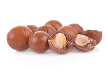 Macadamia nut isolated on white background.