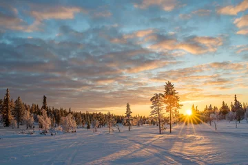 Fototapete Rund Verschneite Landschaft bei Sonnenuntergang, gefrorene Bäume im Winter in Saariselkä, Lappland, Finnland © Delphotostock