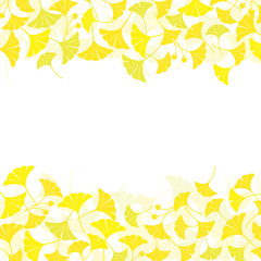 Ginkgo leaves frame on white background