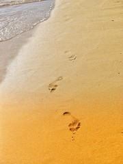 Footprints in sand