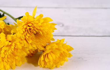bouquet of yellow flowers on wooden background