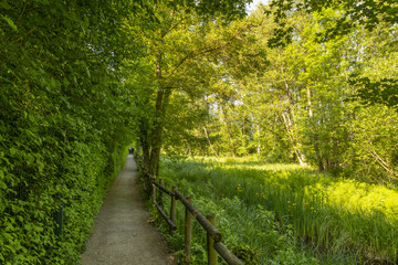 Le Parc d'Isle à Saint-Quentin (02) © Alonbou