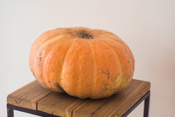 orange pumpkin on a wooden chair on a light background