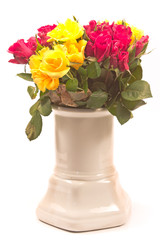 Roses in ceramic vase isolated on white
