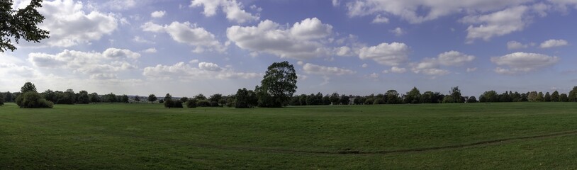 Fototapeta premium Durdham Downs Panorama