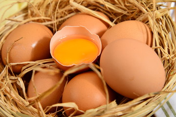 eggs in basket