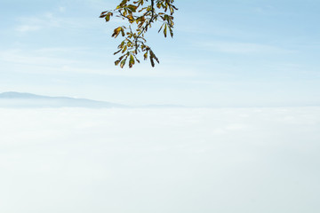 Al di sopra del mare di nebbia il cielo è azzurro