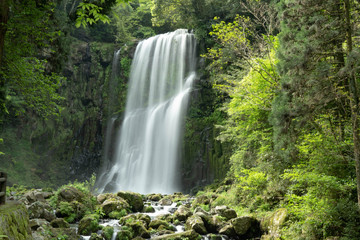 Obraz premium 九州の桜滝