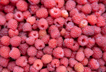 Fresh forest raspberry