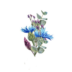 Watercolor blue cornflower flower bouquet with leaves