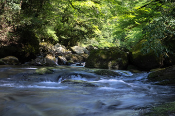 菊池渓谷