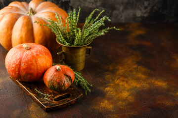 Pumpkin, basil and thyme on a rusty background