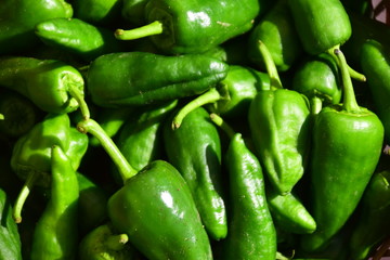 Pimientos verdes