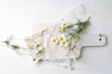 Still life with chamomile flowers