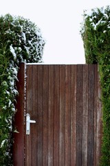 The door to wonderland