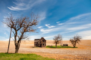 An old abandoned farmhouse in Oregon