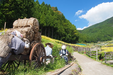 愛知県新城市 四谷千枚田 Yotsuya Rice Terrace in Aichi, Japan. 