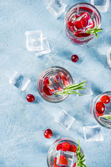 Fototapeta na wymiar Winter cocktail with cranberry and rosemary