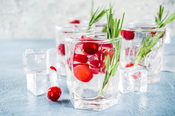 Winter cocktail with cranberry and rosemary