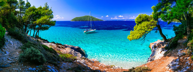 Fototapeta premium Dzikie piękno i najlepsze plaże wyspy Skopelos. Plaża Kastani. Sporady, Grecja