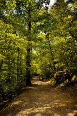 Fototapeta na wymiar Huelgoat forest in Brittany, France