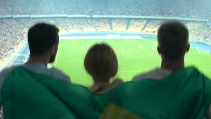 Cheerful Brazilian soccer fans supporting national team, championship finals