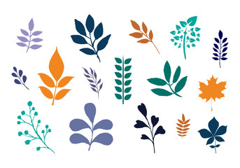 Colorful leaves on white 