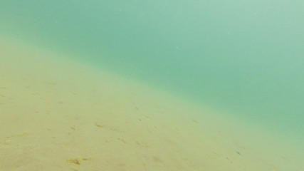 Photo underwater sandy bottom of the black sea in summer